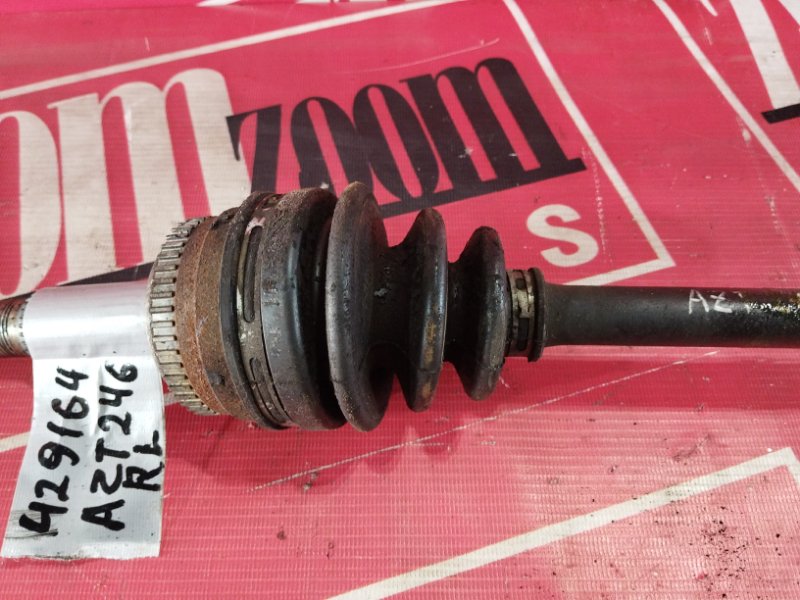 Привод, 900 рублей, Солонцы