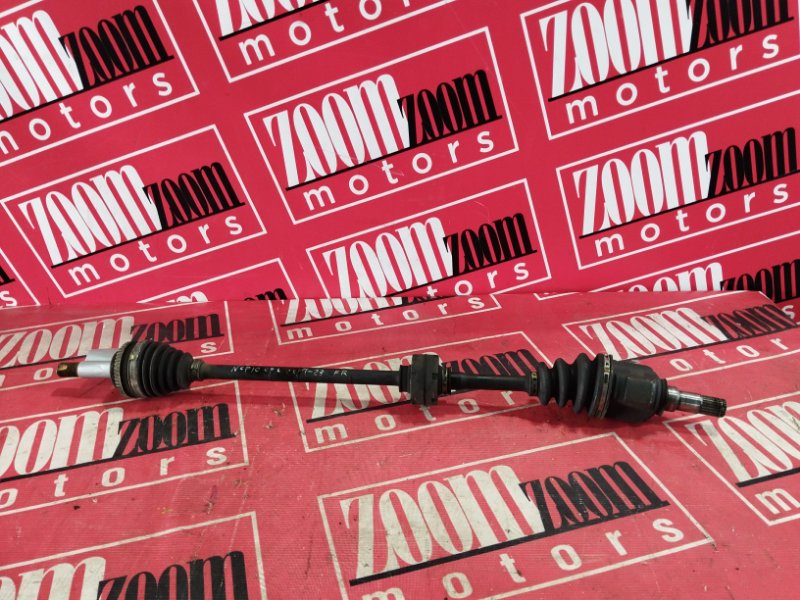 Привод, 2800 рублей, Солонцы