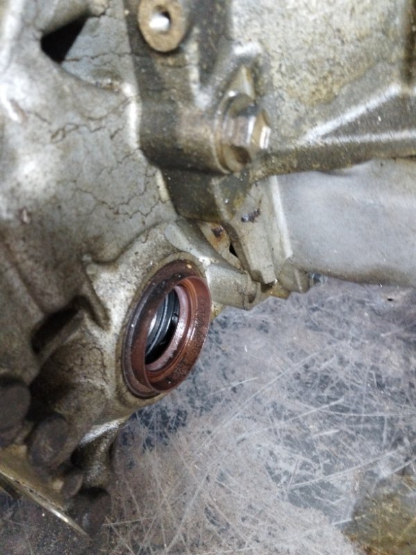 Двигатель, 218500 рублей, Солонцы