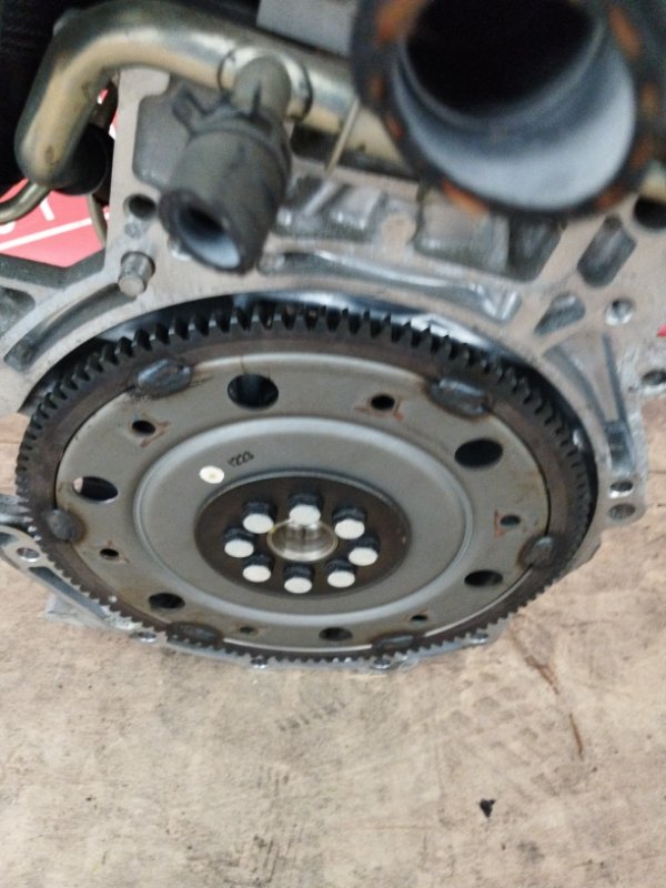 Двигатель, 61800 рублей, Солонцы