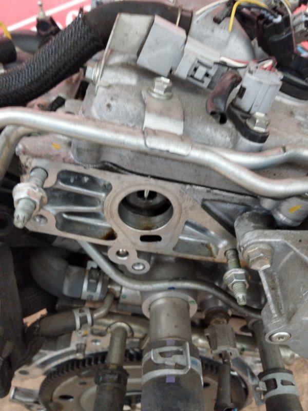 Двигатель, 61800 рублей, Солонцы