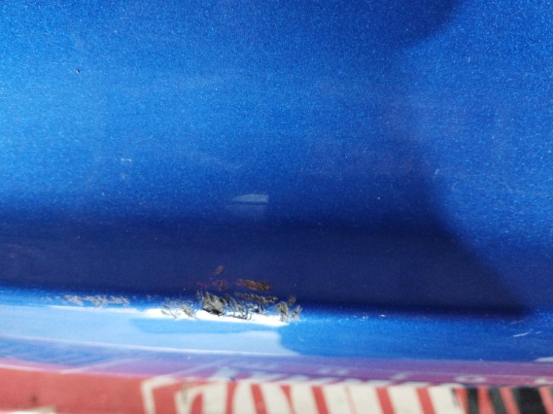 Бампер, 5700 рублей, Солонцы