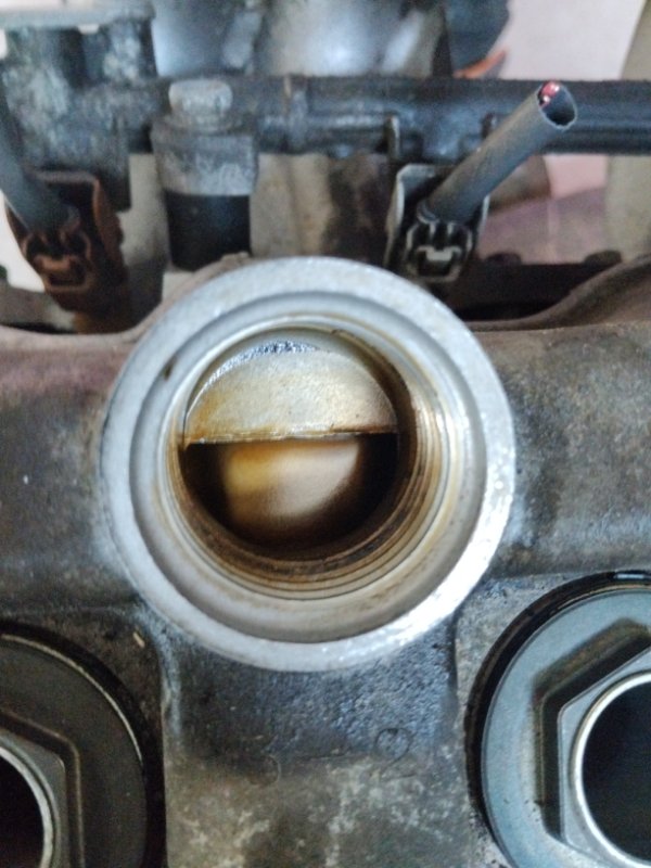 Двигатель, 169100 рублей, Солонцы