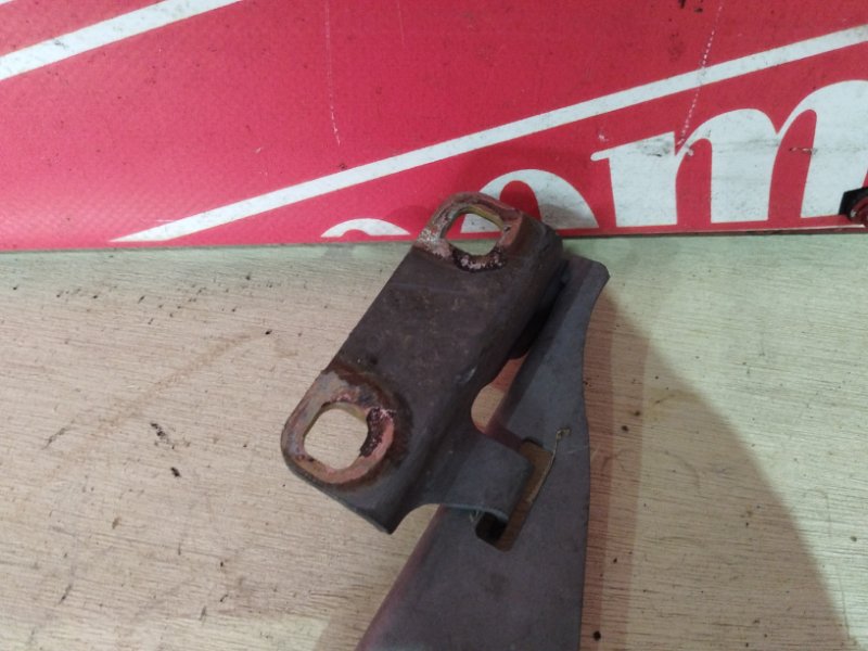 Петля (Шарнир капота), 500 рублей, Солонцы