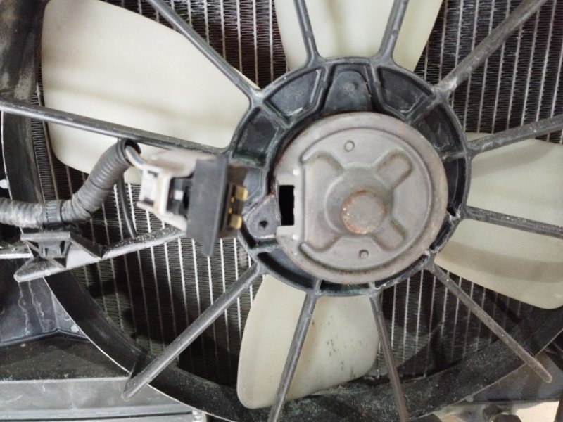 Радиатор двигателя, 12300 рублей, Солонцы