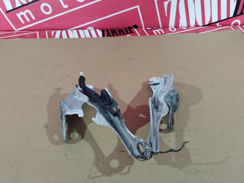 Петля (Шарнир капота), 900 рублей, Солонцы