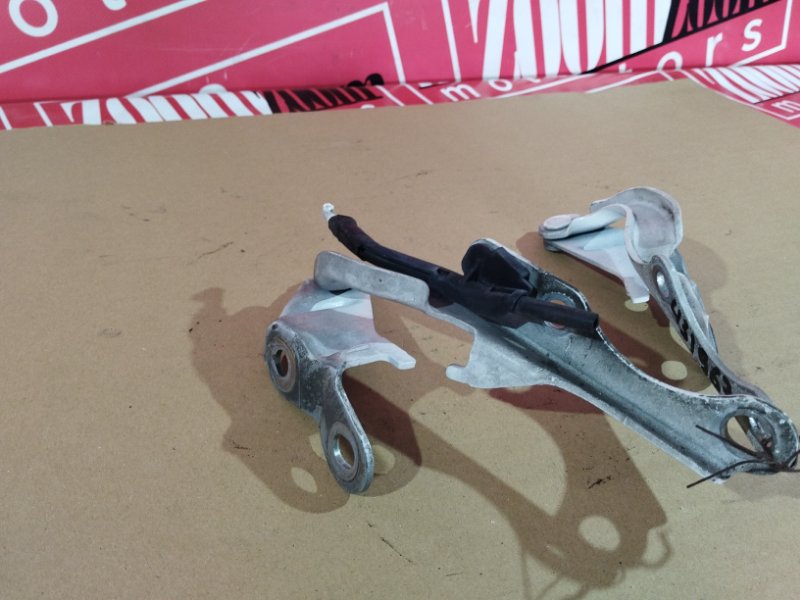 Петля (Шарнир капота), 900 рублей, Солонцы