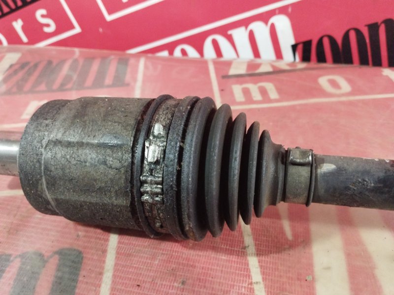 Привод, 1800 рублей, Солонцы