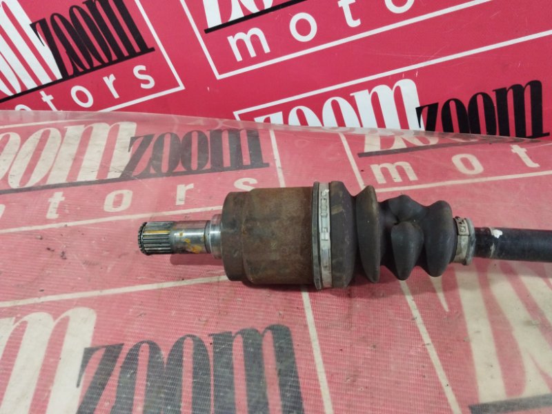 Привод, 1200 рублей, Солонцы