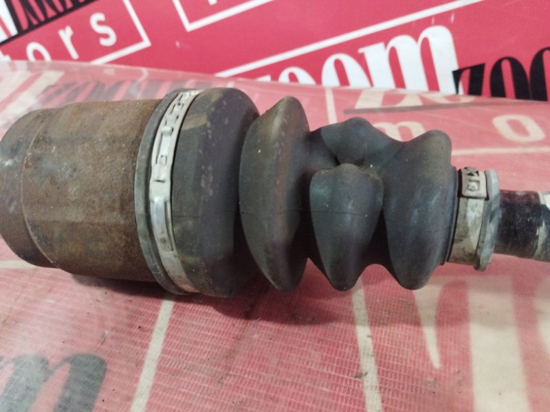 Привод, 1200 рублей, Солонцы