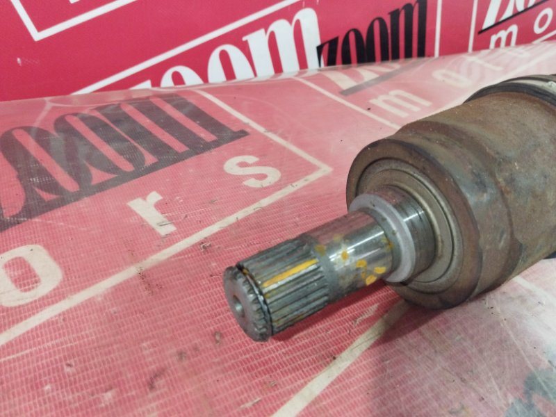 Привод, 1200 рублей, Солонцы