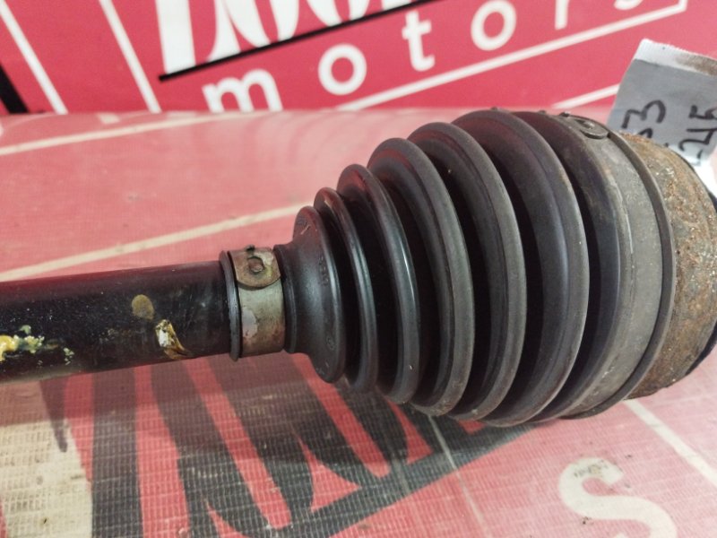 Привод, 1200 рублей, Солонцы