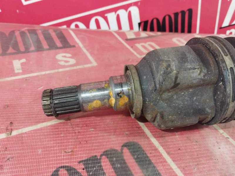 Привод, 7600 рублей, Солонцы