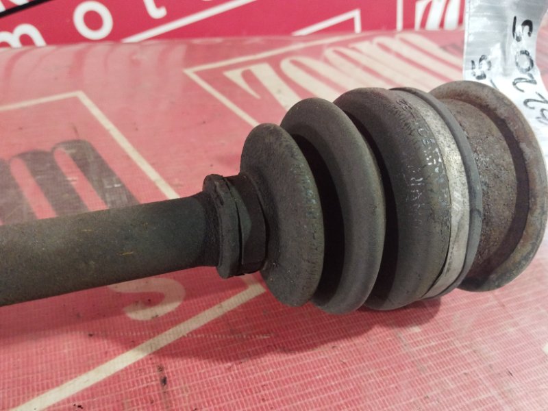 Привод, 1000 рублей, Солонцы