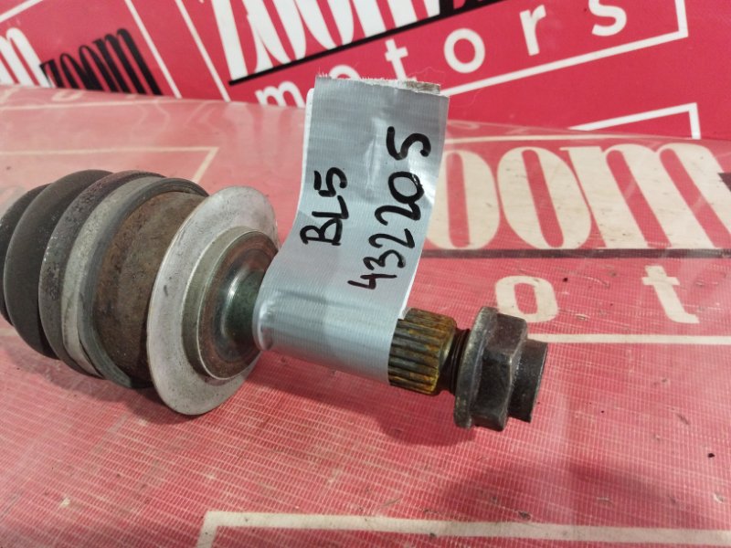 Привод, 1000 рублей, Солонцы