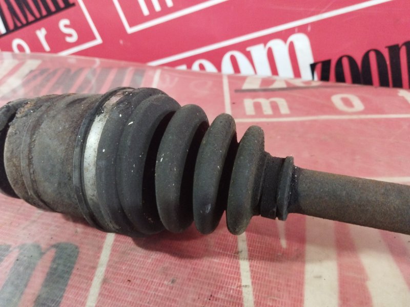 Привод, 1000 рублей, Солонцы