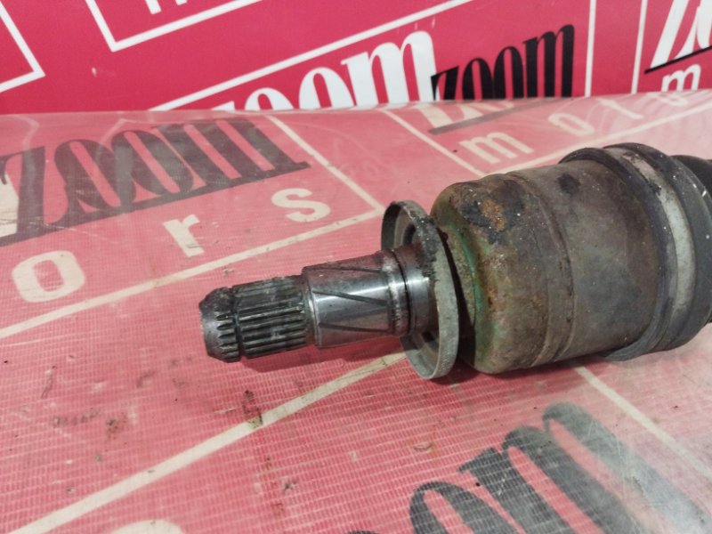 Привод, 1000 рублей, Солонцы