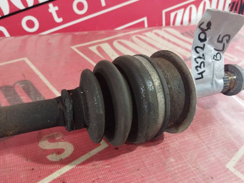 Привод, 1000 рублей, Солонцы