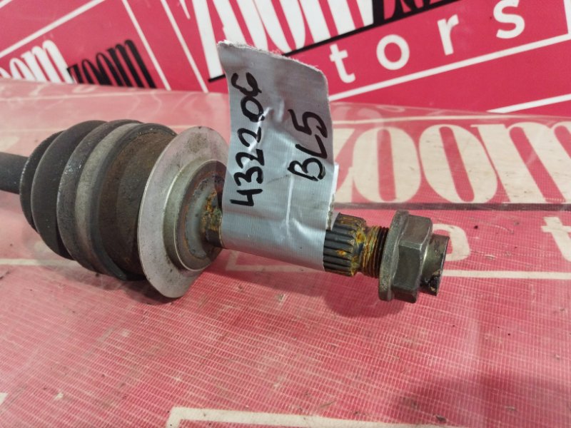 Привод, 1000 рублей, Солонцы