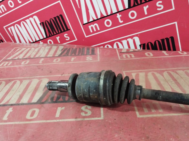 Привод, 1000 рублей, Солонцы