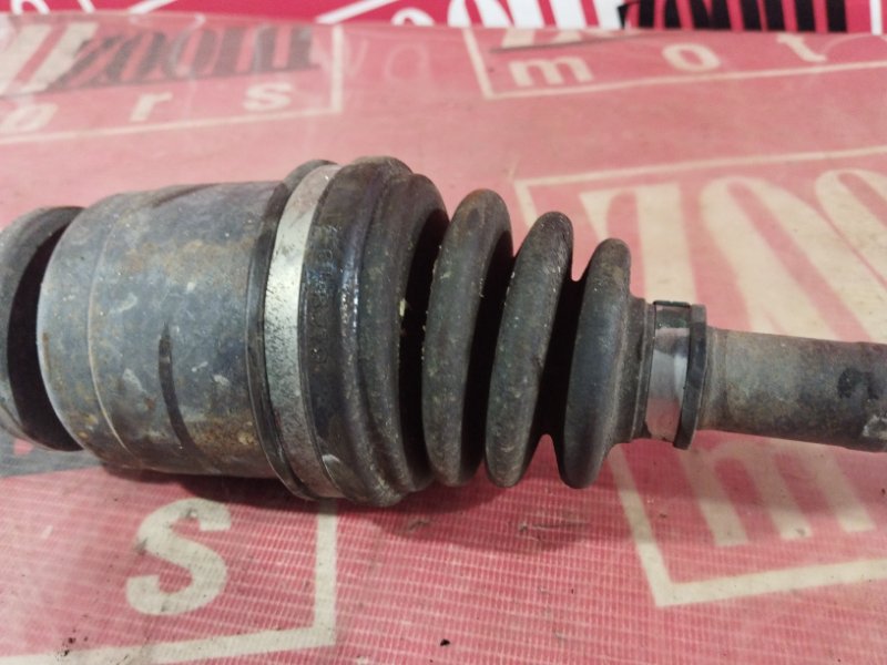 Привод, 1000 рублей, Солонцы