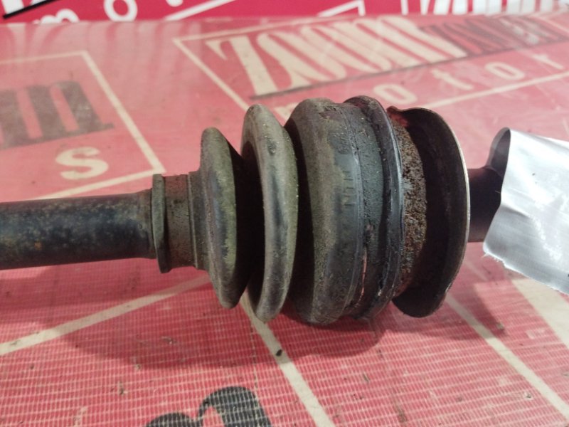 Привод, 1000 рублей, Солонцы