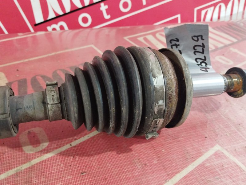 Привод, 4800 рублей, Солонцы