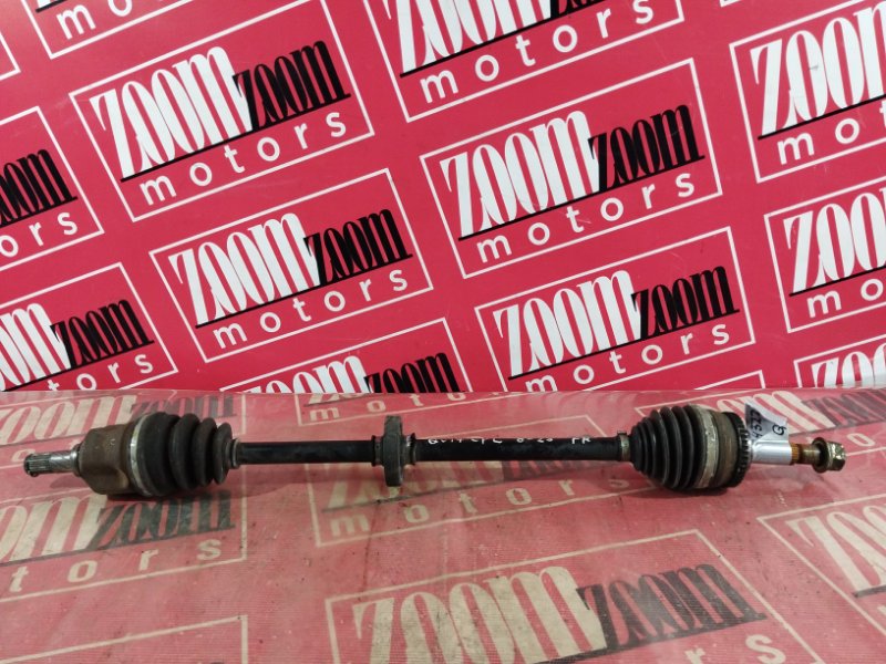 Привод, 2400 рублей, Солонцы