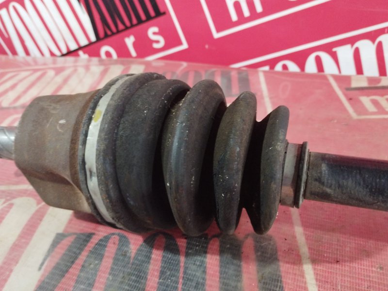 Привод, 2400 рублей, Солонцы