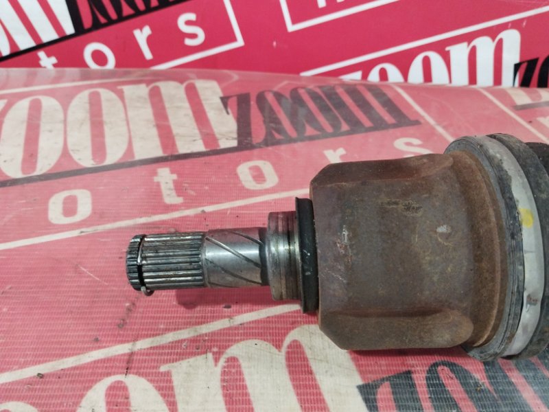 Привод, 2400 рублей, Солонцы