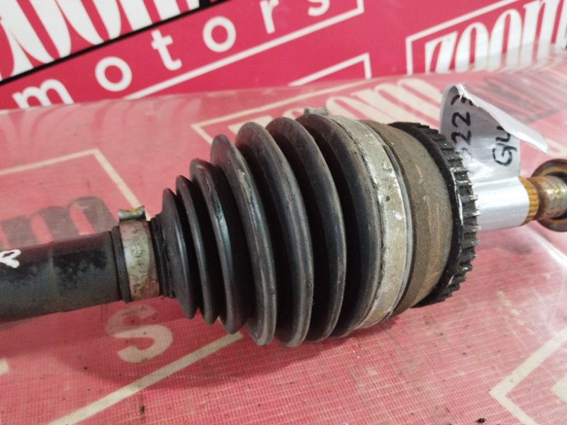 Привод, 2400 рублей, Солонцы