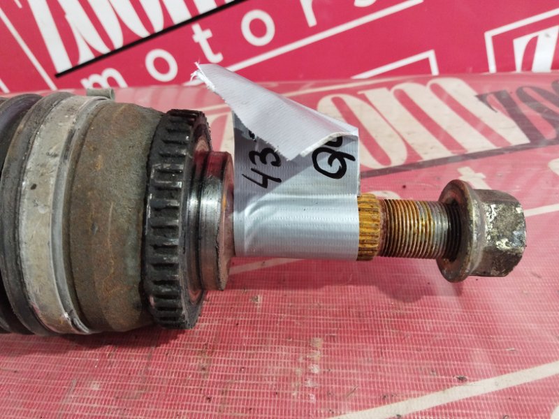 Привод, 2400 рублей, Солонцы