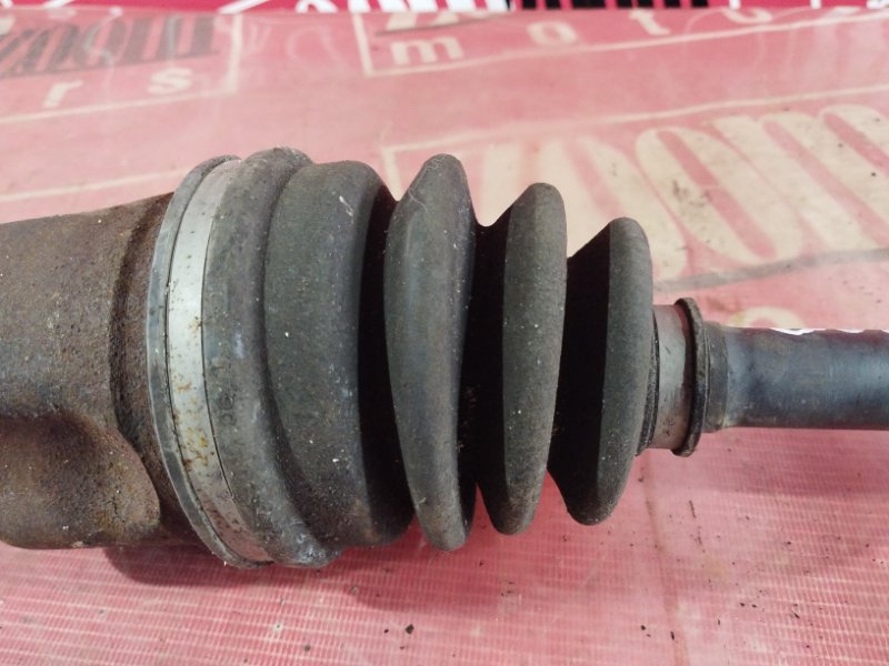 Привод, 3400 рублей, Солонцы