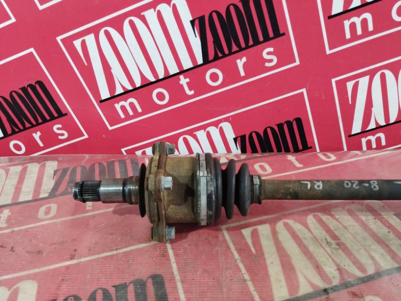 Привод, 1900 рублей, Солонцы