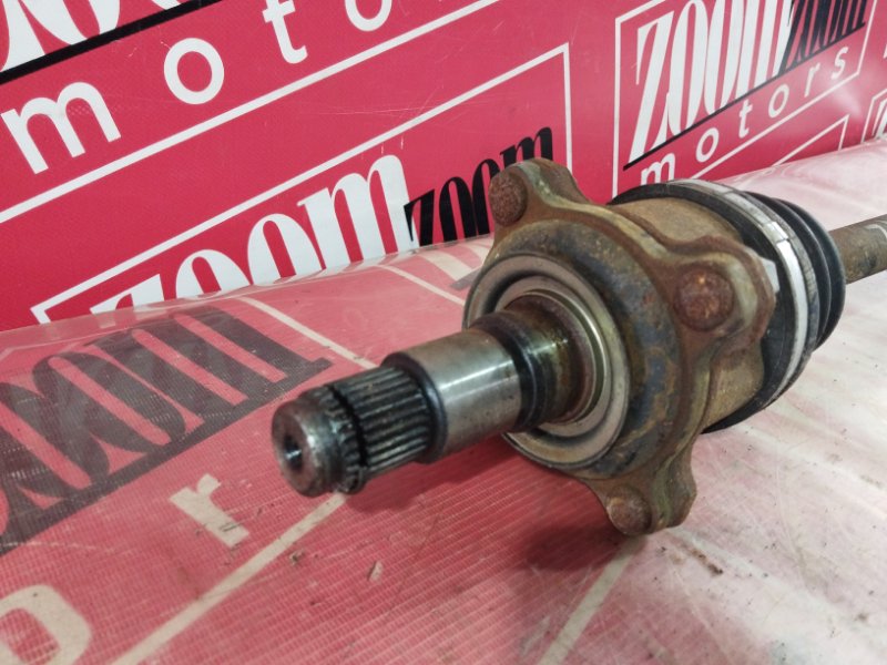 Привод, 1900 рублей, Солонцы