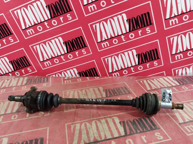 Привод, 1000 рублей, Солонцы