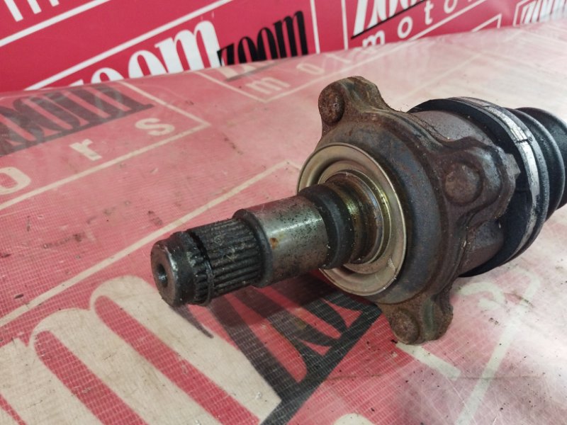 Привод, 1000 рублей, Солонцы