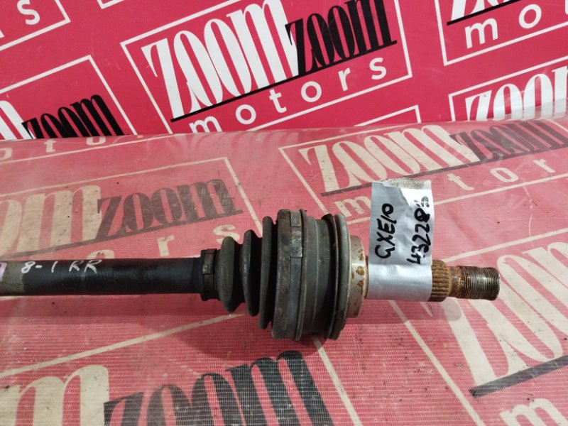 Привод, 1000 рублей, Солонцы