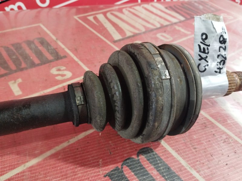 Привод, 1000 рублей, Солонцы