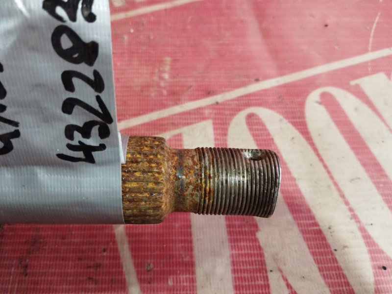 Привод, 1000 рублей, Солонцы