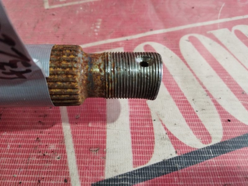 Привод, 1000 рублей, Солонцы