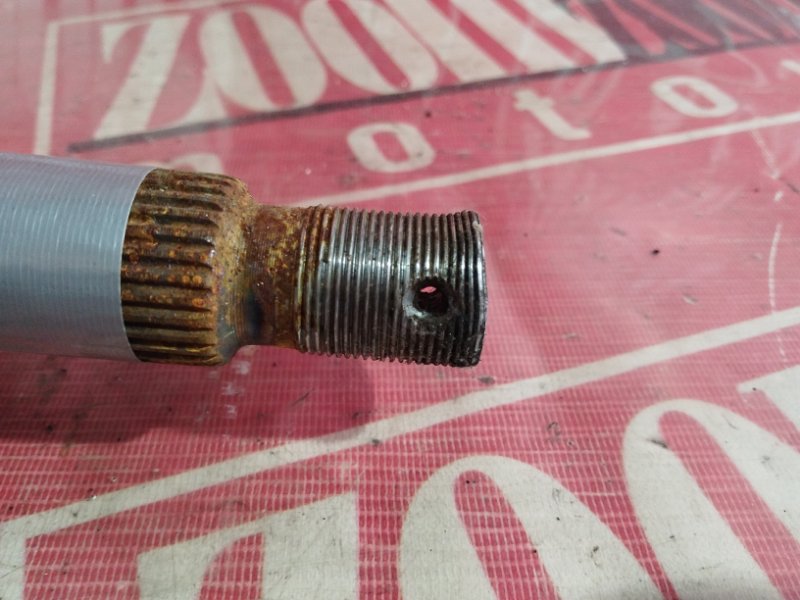 Привод, 1000 рублей, Солонцы