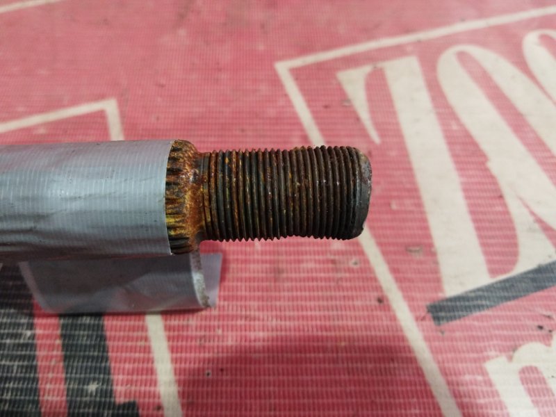 Привод, 6700 рублей, Солонцы