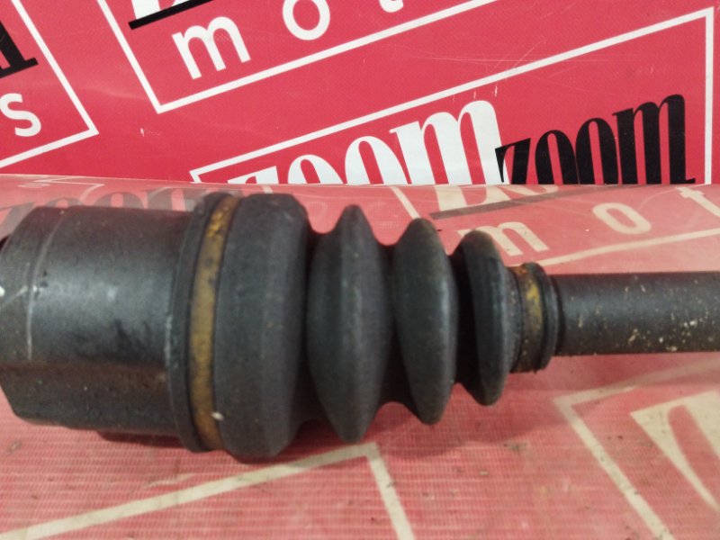 Привод, 1900 рублей, Солонцы