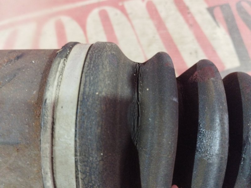 Привод, 11900 рублей, Солонцы