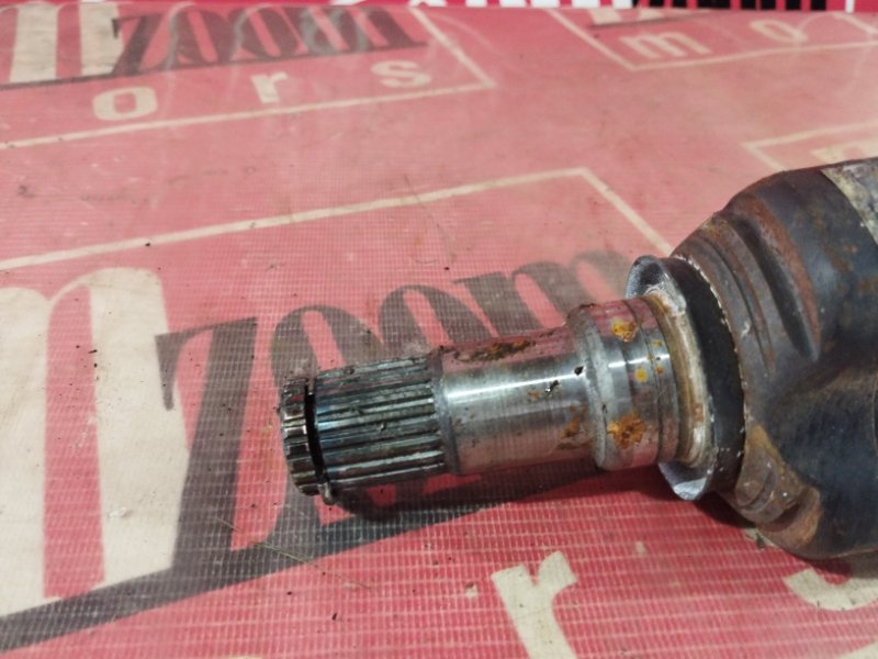 Привод, 1800 рублей, Солонцы