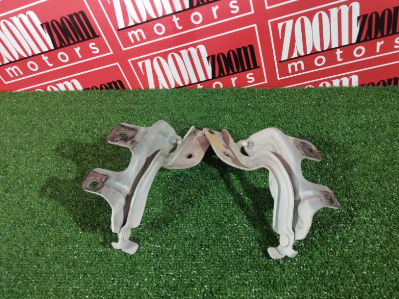 Петля (Шарнир капота), 1800 рублей, Солонцы