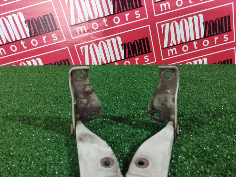 Петля (Шарнир капота), 400 рублей, Солонцы