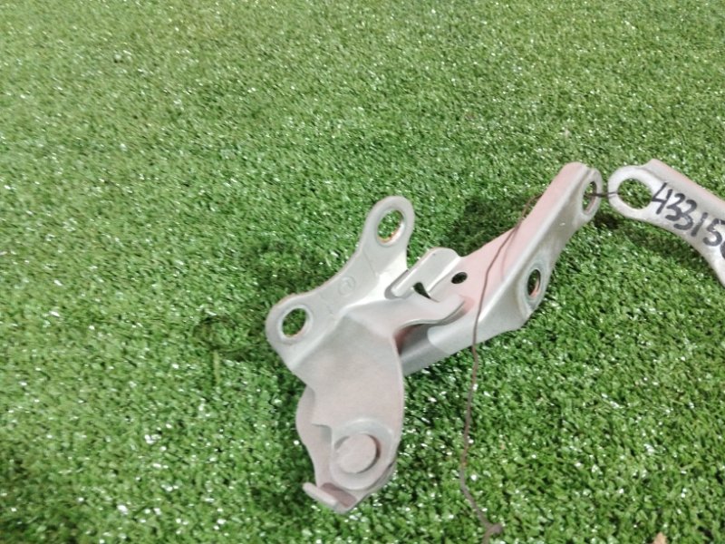 Петля (Шарнир капота), 800 рублей, Солонцы