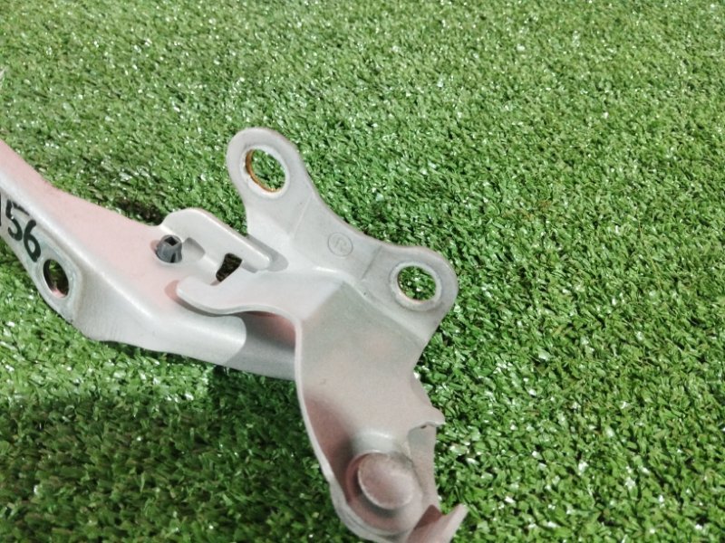 Петля (Шарнир капота), 800 рублей, Солонцы